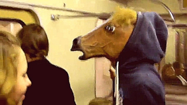 Лошадь в метро 