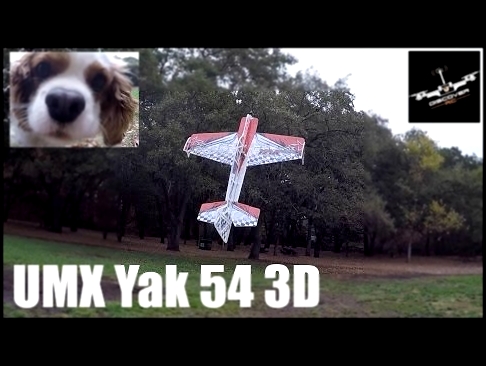 E-flite UMX Yak 54 3D | Review and Flight 