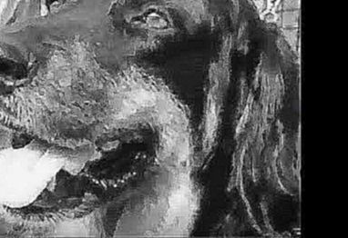 1954 Выставка собак в Гамбурге - the short movie about the Dog Show in Hamburg Germany 