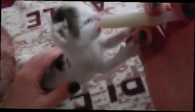 Видеоклип Брошенный котенок выжил и подрос! Пьет молочко и мурлычет) Как выкормить котенка؟ 