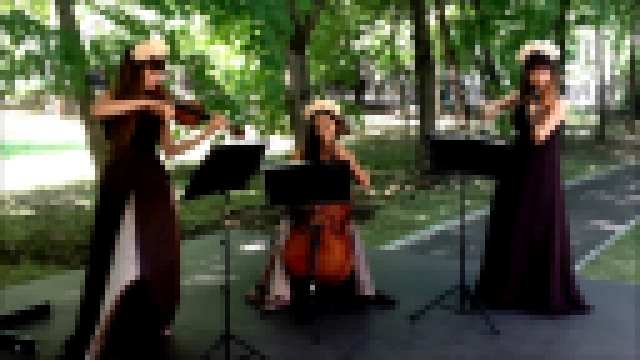Видеоклип ZAZ " je veux" - струнное трио Violin Group DOLLS,свадьба 