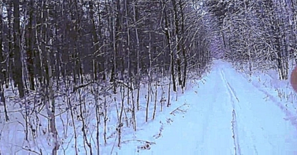 Прогулка по зимнему лесу.Релакс видео. 