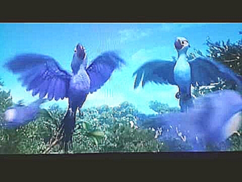Рио )2 танец птицы/  мультик птица рио. 