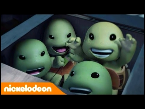 Черепашки-ниндзя | Самые милые черепашки | Nickelodeon Россия 