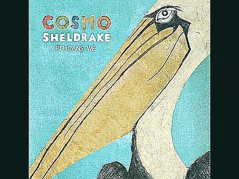 Видеоклип Cosmo Sheldrake - The Fly 