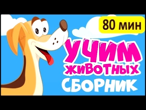 2017 БОЛЬШОЙ СБОРНИК! Учим животных - смотреть все серии! развивающие мультики для детей на русском 