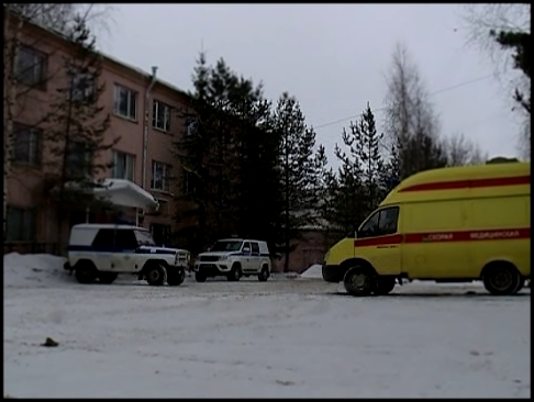 Аномальный мороз мог стать причиной гибели девушки в Вологде. Официальный комментарий полиции 
