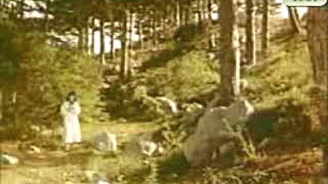 Видеоклип Софiя Ротару - Ти, земле моя (1981) 