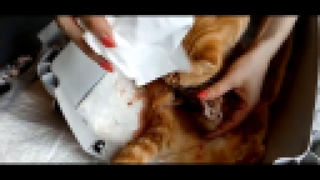 Видеоклип #3# КОШКА РОЖАЕТ В ЛЕСУ в палатке! ФАНТА СТАЛА МАМОЙ! Роды кошки Афродиты. 