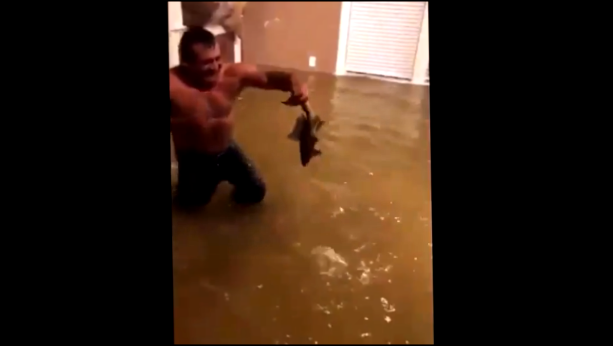 Мужик голыми руками ловит рыбу у себя дома после урагана в Техасе 