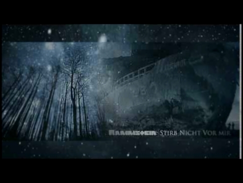Видеоклип Stirb Nicht Vor Mir - Rammstein Vocal Cover 