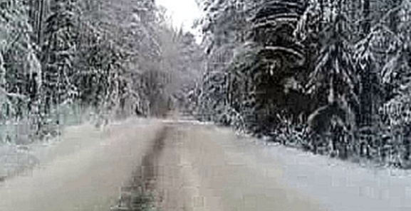 Зимний лес. Декабрь 2007 года 