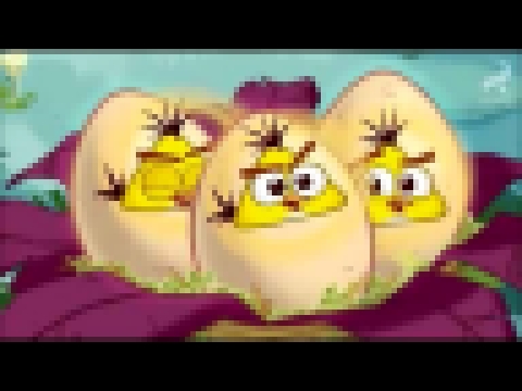 ЗЛЫЕ ПТИЧКИ   Angry Birds   Энгри Бердс   мультфильм   Все серии подряд   1 с   ч 1   мультик 