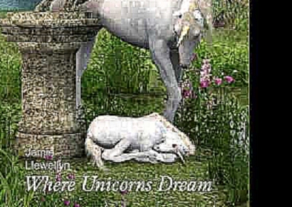 Видеоклип Jamie Llewellyn - Music for Relaxation   Where Unicorns Dream 