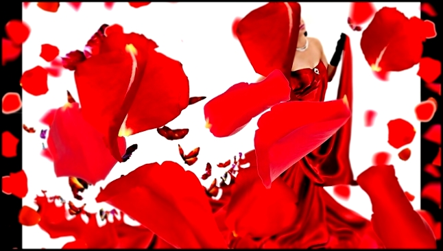 Видеоклип лепестки красных роз 