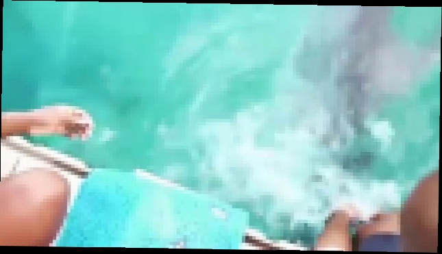 Девушка уронила телефон в океан, но заботливый дельфин вернул ей его обратно 
