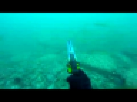 Подводная охота на терпуга с Rob Allen Roller 80    12.06.2018 Находка 