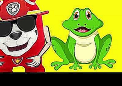 Paw Patrol Cartoon | Chase Trolls Frog Pranks - Nick Ki | Full Episodes 