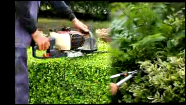 Видеоклип Garden Services for Professional Garden Maintenance - YouTube 