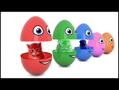 Яйца с сюрпризом. Учим цвета. Развивающий мультик для детей. Surprise eggs Animals 