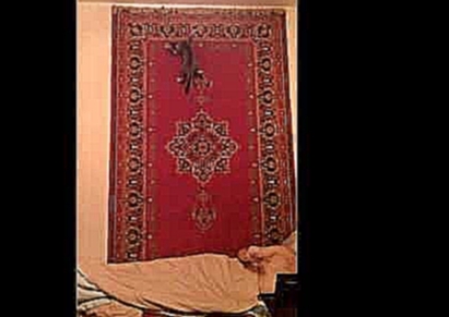 Кот на ковре/ cat on carpet 