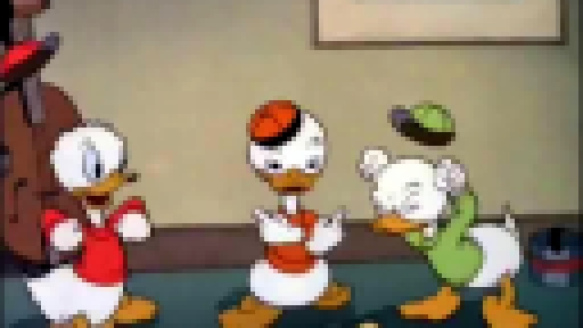 Donald duck - Племянники Дональда 