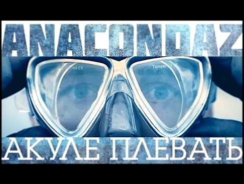 Видеоклип Anacondaz — Акуле плевать (Official Music Video) 