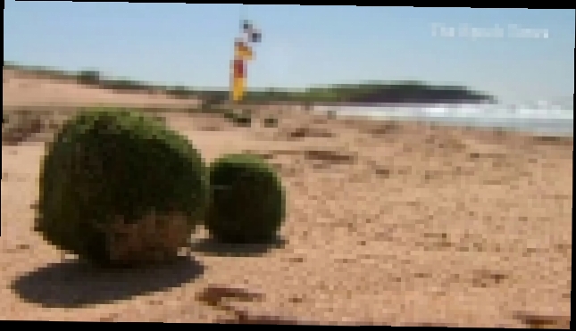 На австралийском пляже обнаружены загадочные зелёные шары 