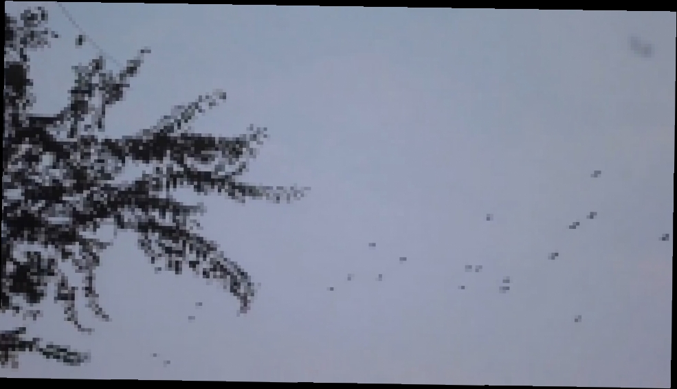 Видеоклип Вороны летят с работы Новый месяц Снег и сосульки 29 10 2014 
