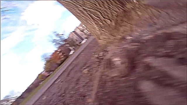 Белка украла камеру GoPro и утащила её на дерево  