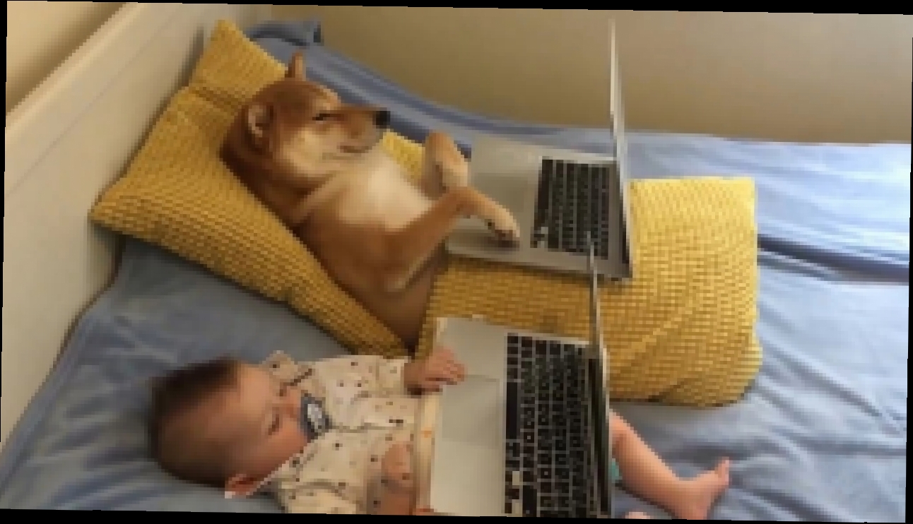 Собака и ребенок смотрят мультфильм 