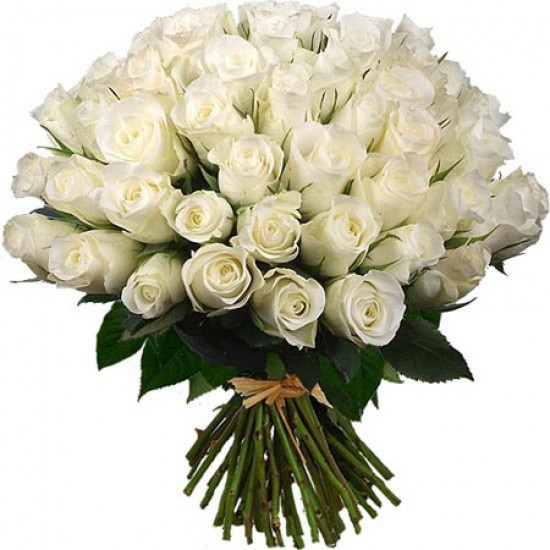 Белые розы Пугачева Алла
