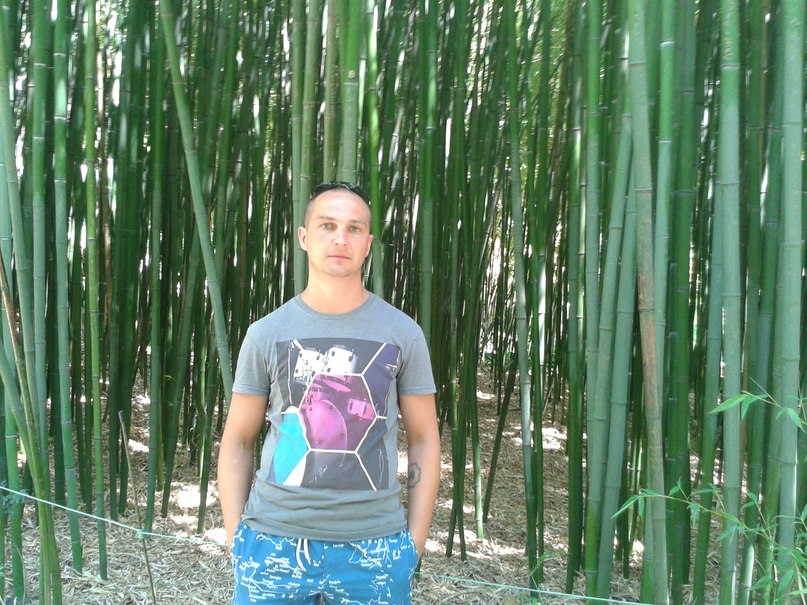 Пустой бамбук Буйнов Александр