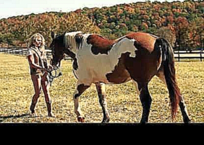 Конь и девушка 