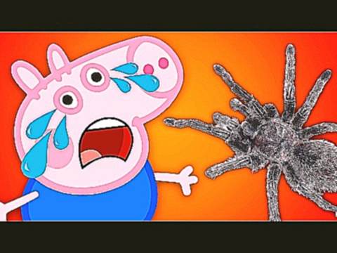Свинка Пеппа смотреть как огромный страшный паук нападает на Джорджа мультфильм онлайн для детей 