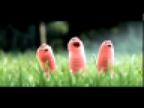Смешной короткометражный мультик для поднятия настроения - Гусеницы 