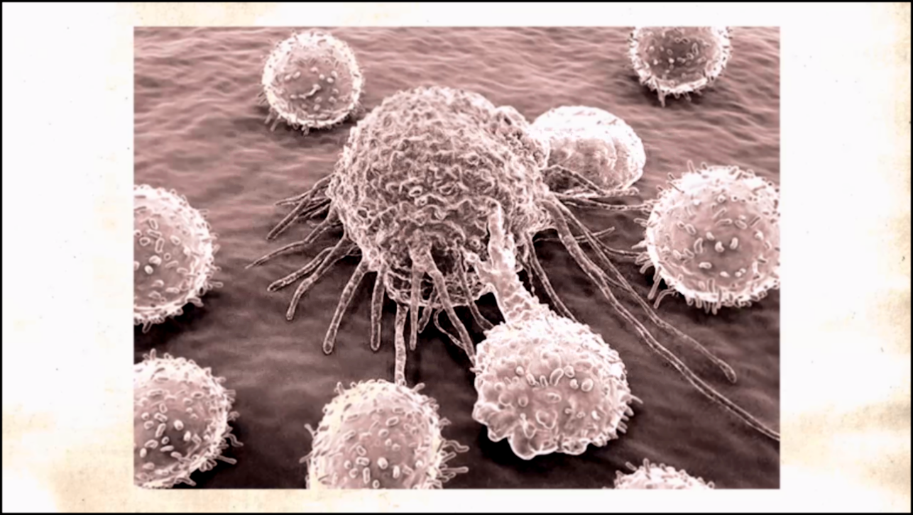 Видеоклип Ученые в поисках вируса СПИДа 