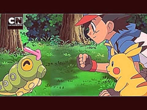 BW Adventures in Unova and Beyond: Caterpie Training | Pokémon | Cartoon Network 
