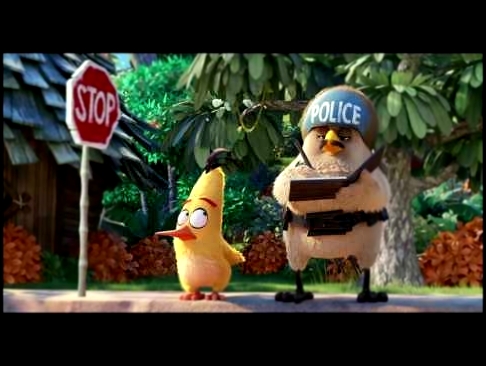 Angry Birds уже в кино 
