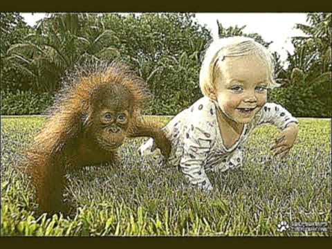 Смешные Обезьянки и Дети! Funny Monkeys and Children! 