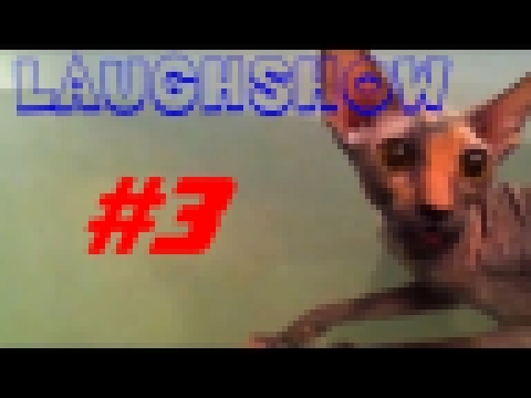 LaughShow | Самое Смешное Видео #3 