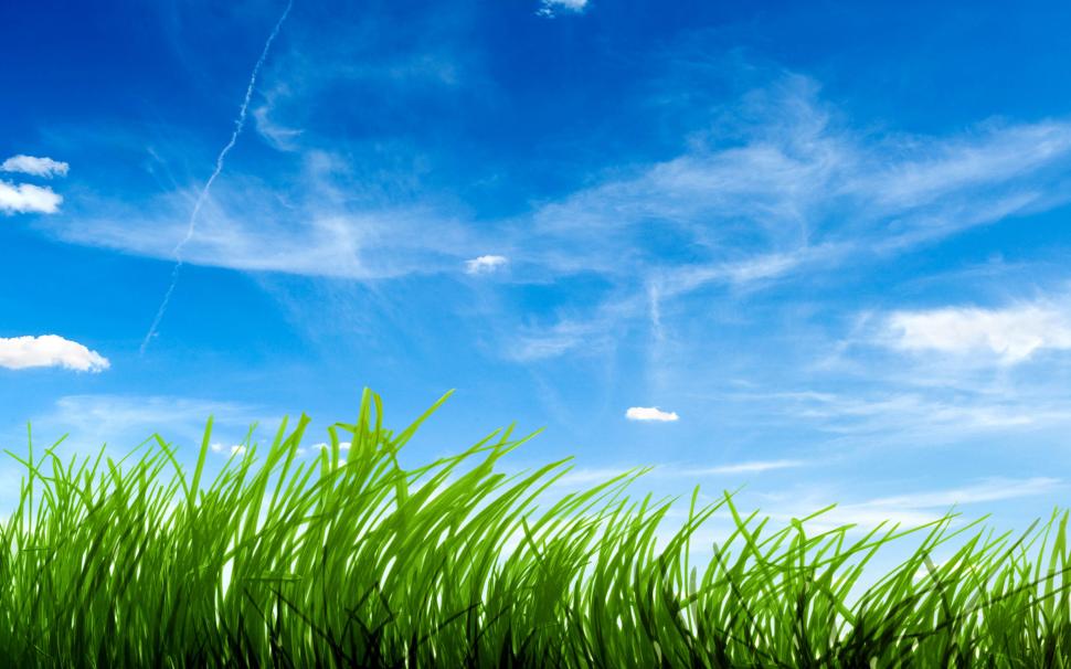 Wind kissing Grass (Ветер, целующий траву) G.E.N.E.