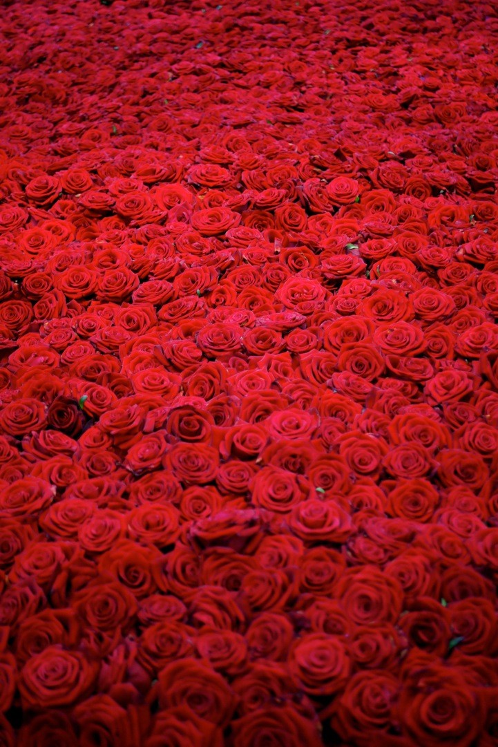 Миллион алых роз Филипп Киркоров