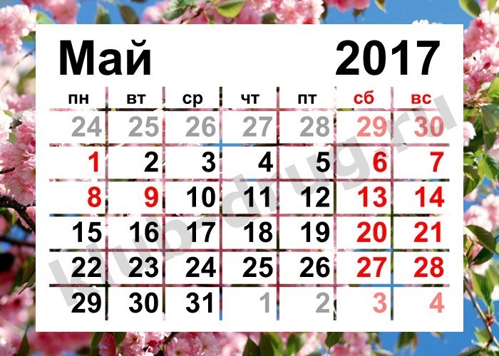 Мой дом-Россия (кавер)(08.05.14) Олег Чуприн